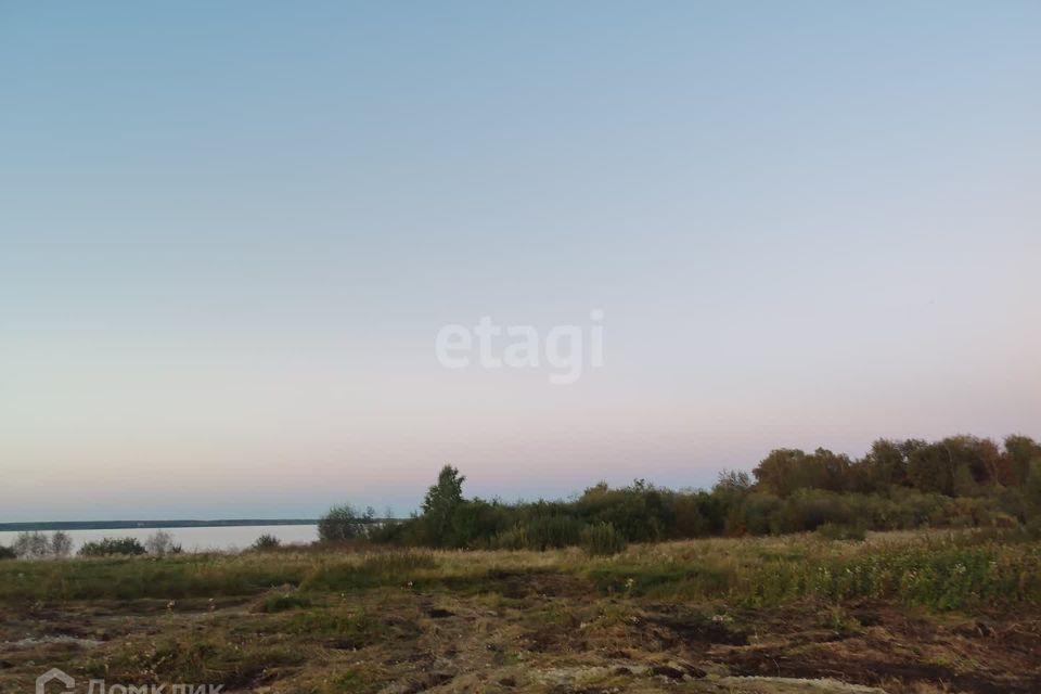 земля Озерский городской округ, Восточно-Уральский заповедник фото 3