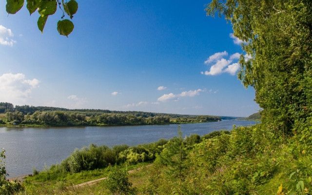 дом р-н Алексинский д Егнышевка ул Приокская 28 Алексин городской округ фото 2