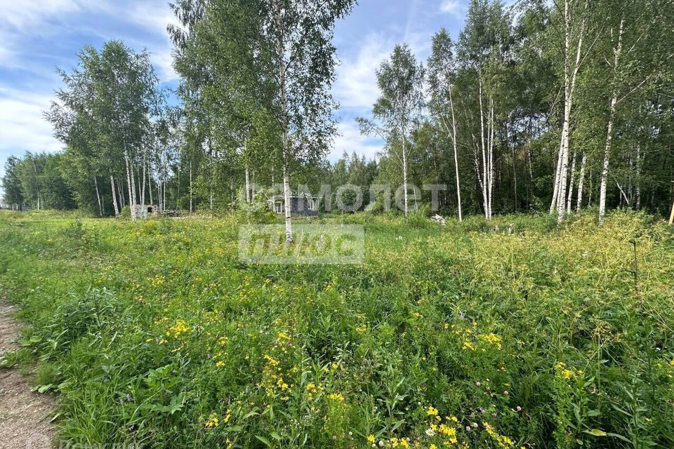 земля городской округ Переславль-Залесский, деревня Соловеново фото 1