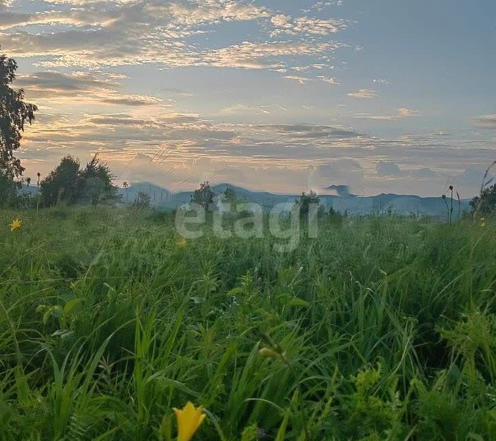 земля р-н Алтайский фото 5