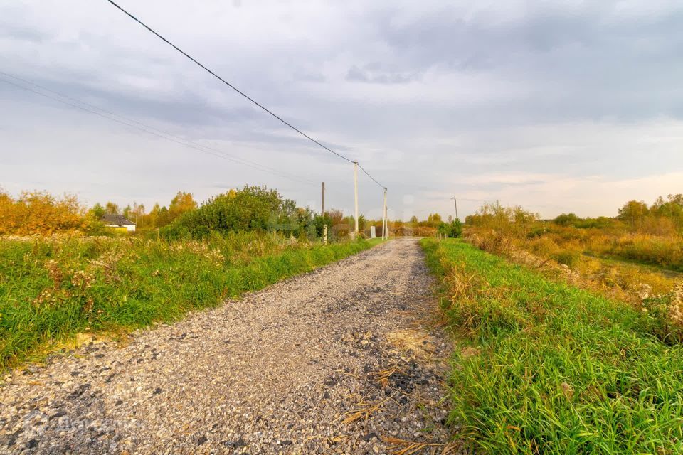 земля г Тюмень снт Липовый остров ул 6-я Западная городской округ Тюмень фото 8