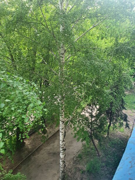 квартира г Курск р-н Центральный пр-кт Дружбы 12 фото 13