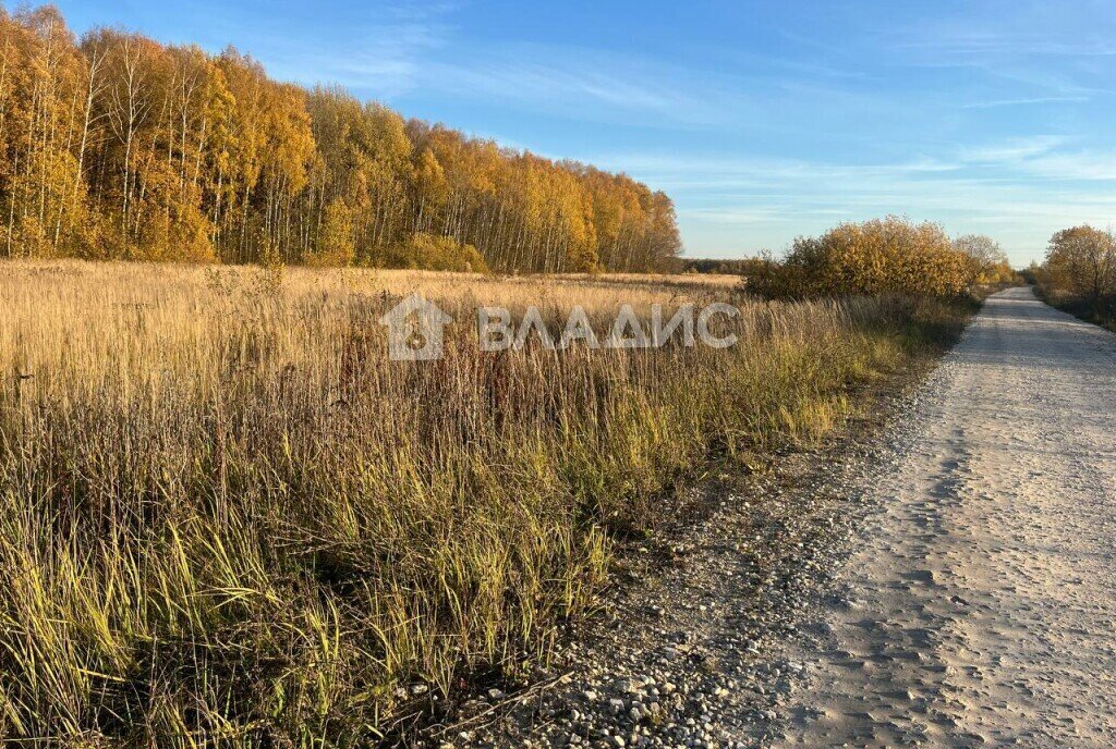 земля р-н Собинский д Струково фото 2