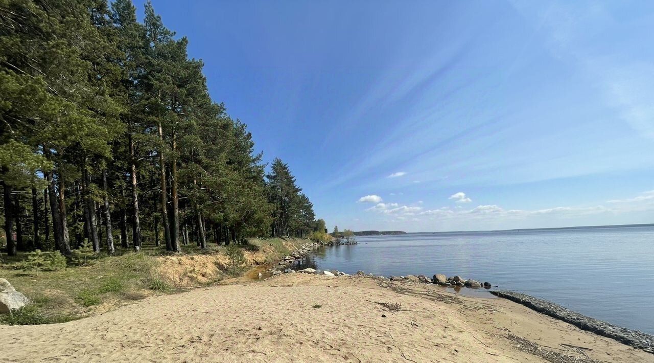 дом р-н Рыбинский д Ясенево ул Кузнецкий лес Рыбинский район, Глебовское с/пос фото 24