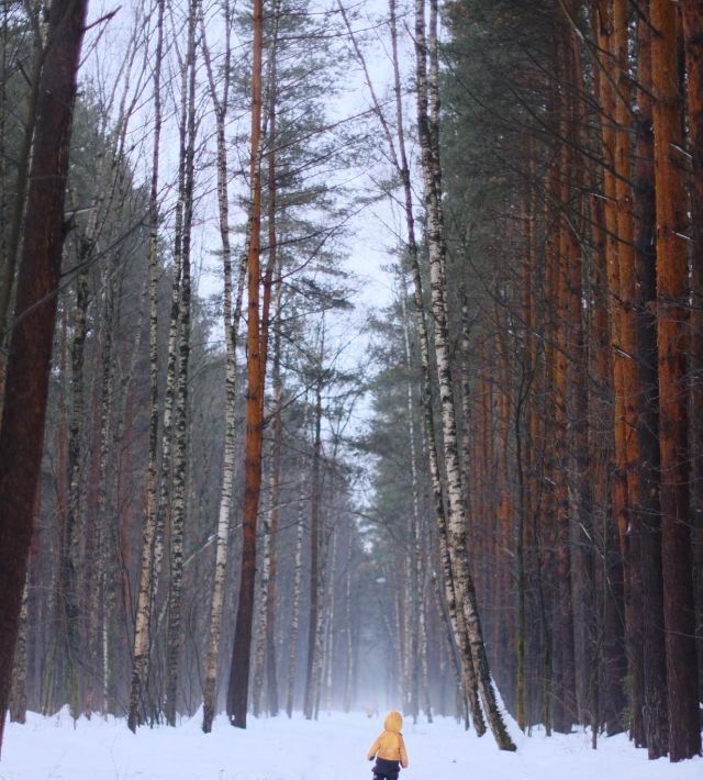 дом г Щёлково Загорянский дп, ул. Крупской фото 12