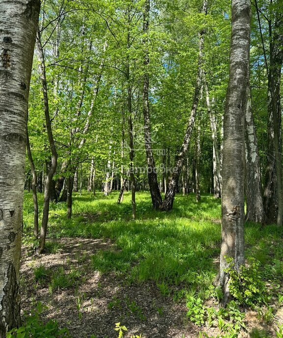 земля городской округ Мытищи п Вешки Алтуфьево, ДНП Дальние Вёшки фото 8