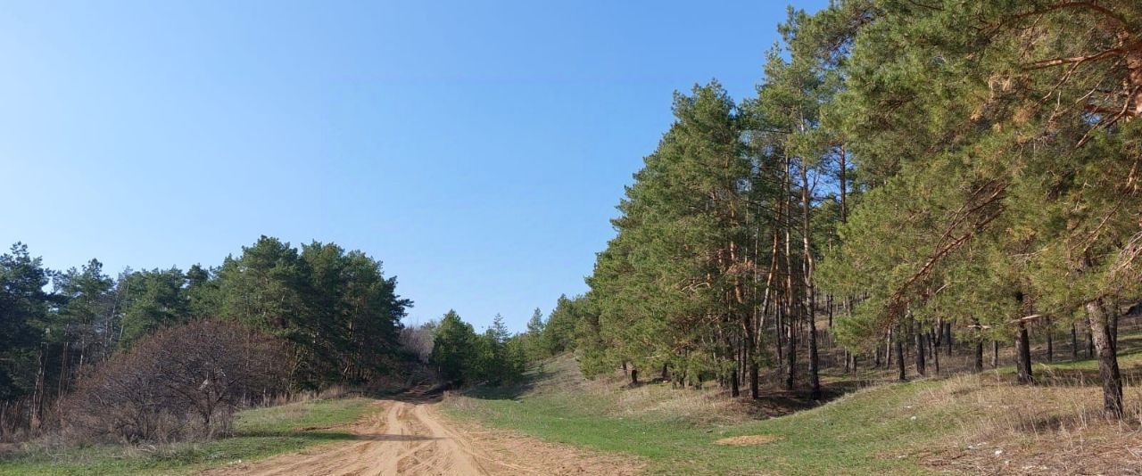 дом р-н Чердаклинский с Крестово Городище ул Горького Крестовогородищенское с/пос фото 14