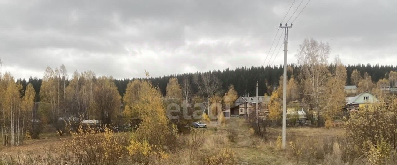 земля р-н Пригородный п Черноисточинск фото 2