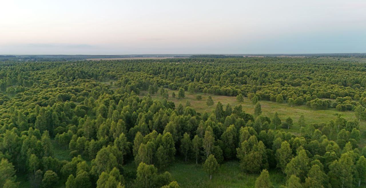 земля городской округ Ступино п Малино 9787 км, г. о. Ступино, Новокаширское шоссе фото 16