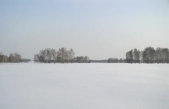 земля р-н Новокузнецкий Кемеровская область — Кузбасс, село Бедарево фото 1