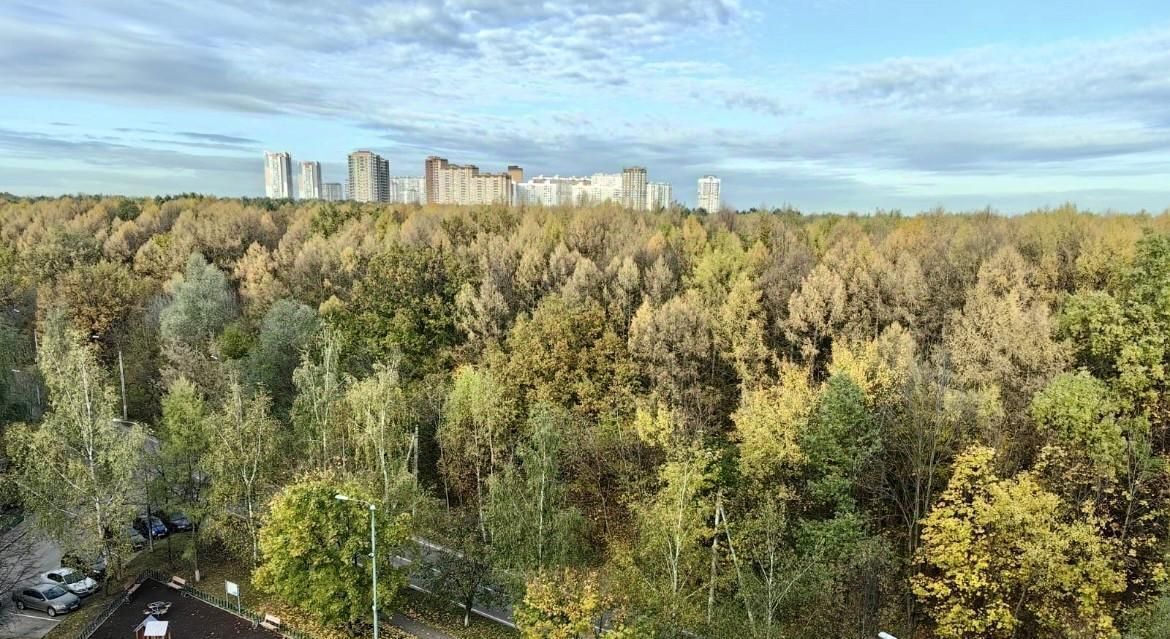 квартира городской округ Ленинский рп Новодрожжино Бутово, 11 фото 9