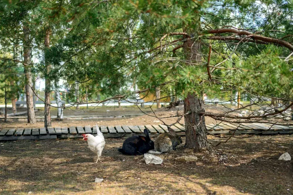 дом р-н Суздальский с Глазово ул Главная 1 Суздаль фото 14