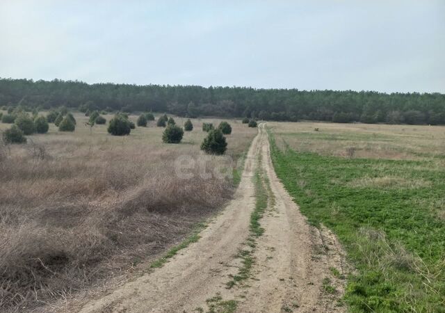 р-н Балаклавский Инкерман, Терновский муниципальный округ, КСП Память Ленина, Крым фото