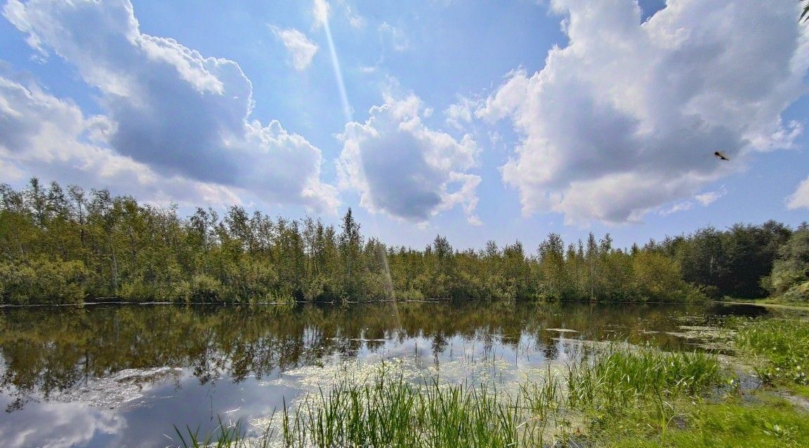 земля р-н Зеленодольский с Новая Тура ул Нижняя 21 Осиновское с/пос фото 1