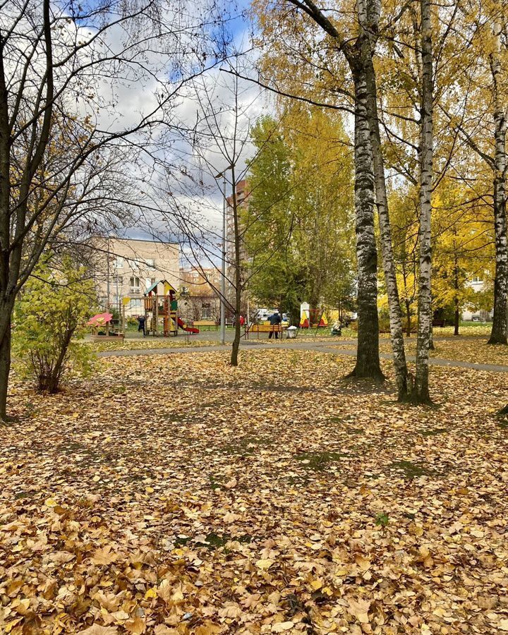 квартира г Санкт-Петербург метро Гражданский Проспект пр-кт Гражданский 117к/2 округ № 21 фото 27