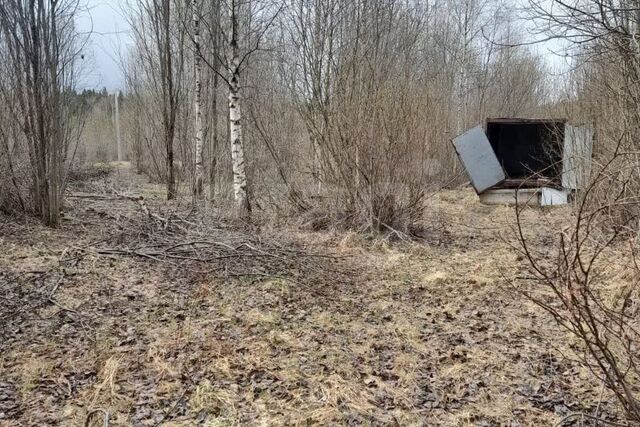 деревня Ильинское Октябрьский сельсовет фото