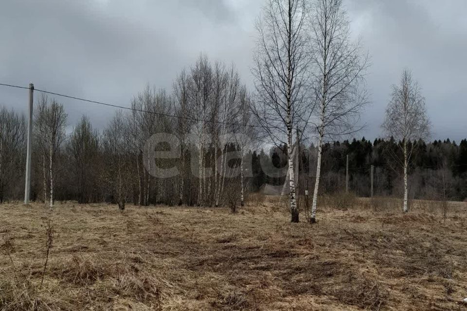 земля р-н Вологодский деревня Ильинское Октябрьский сельсовет фото 4