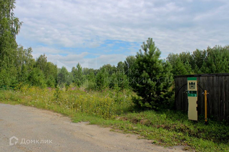 земля р-н Тюменский ДПК Новокаменский, Коттеджный посёлок Новокаменский фото 5