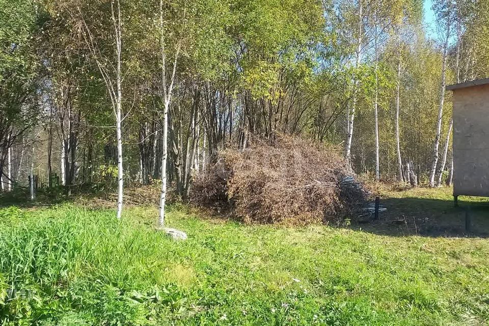 земля р-н Кемеровский д Солонечная Кемеровская область — Кузбасс, Заречная фото 1