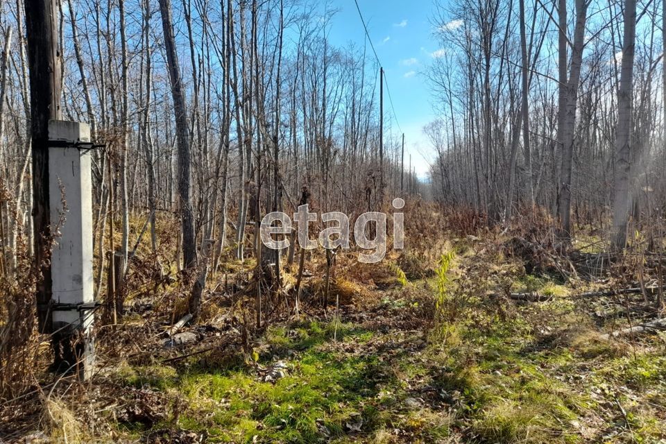 земля городской округ Южно-Сахалинск, село Санаторное фото 4