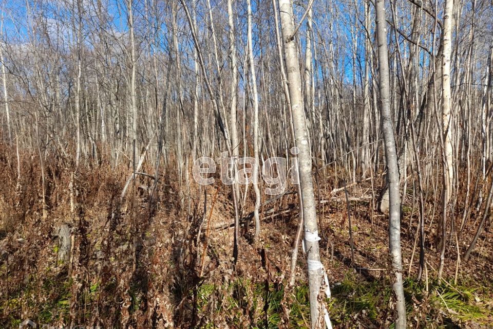 земля городской округ Южно-Сахалинск, село Санаторное фото 3