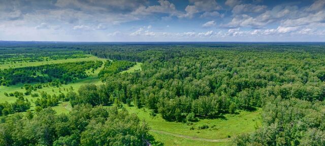 пр-кт Николаевский 2 Кубовинский сельсовет, Новосибирск фото