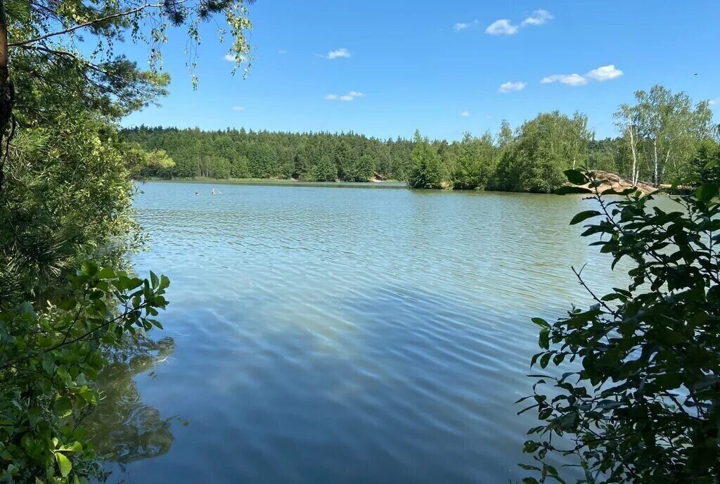 земля р-н Опочецкий д Полехново ул Кленовая фото 1