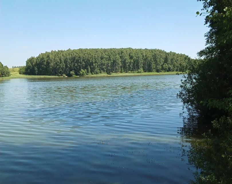 земля р-н Смоленский д Замятлино ул Малиновая фото 8