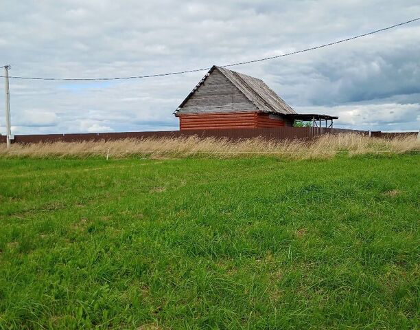 деревня Бобыри фото