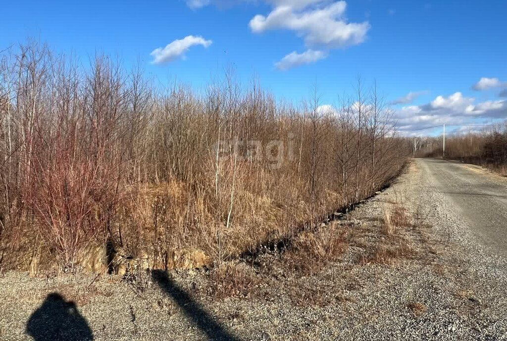 земля р-н Хабаровский с Некрасовка ул Ореховая сельское поселение Село Некрасовка фото 4