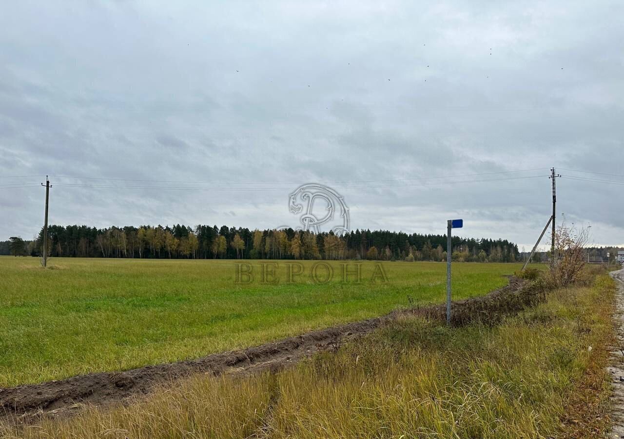 земля городской округ Богородский г Ногинск 9764 км, Первомайская ул., 24, д. Починки, Щёлковское шоссе фото 11