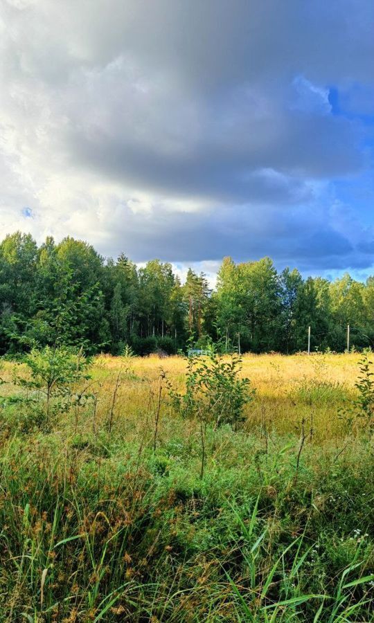 земля р-н Выборгский п Песочное Приморское шоссе, 39 км, Полянское сельское поселение, ДНП Долина озёр фото 7