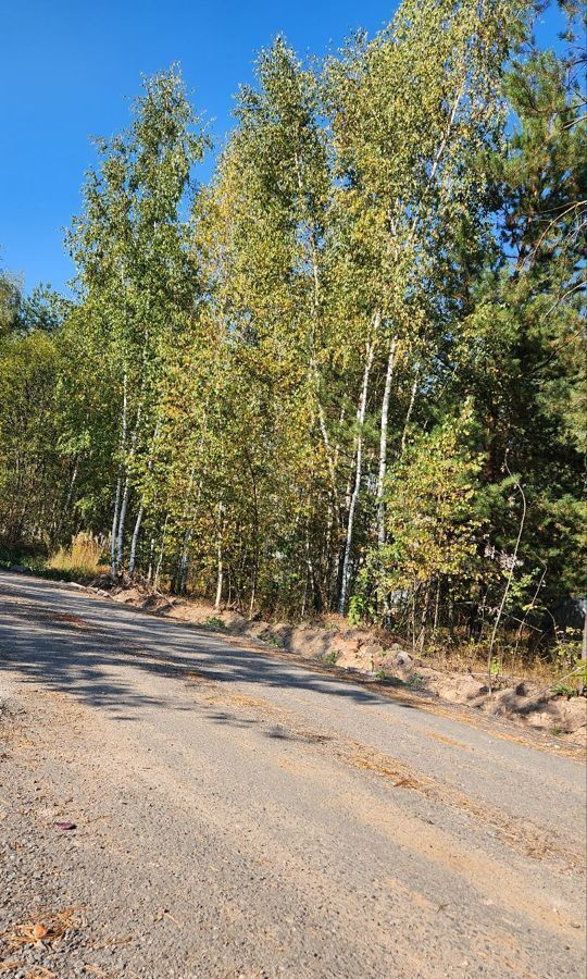 земля городской округ Богородский г Электроугли мкр Светлый 9745 км, Носовихинское шоссе фото 5