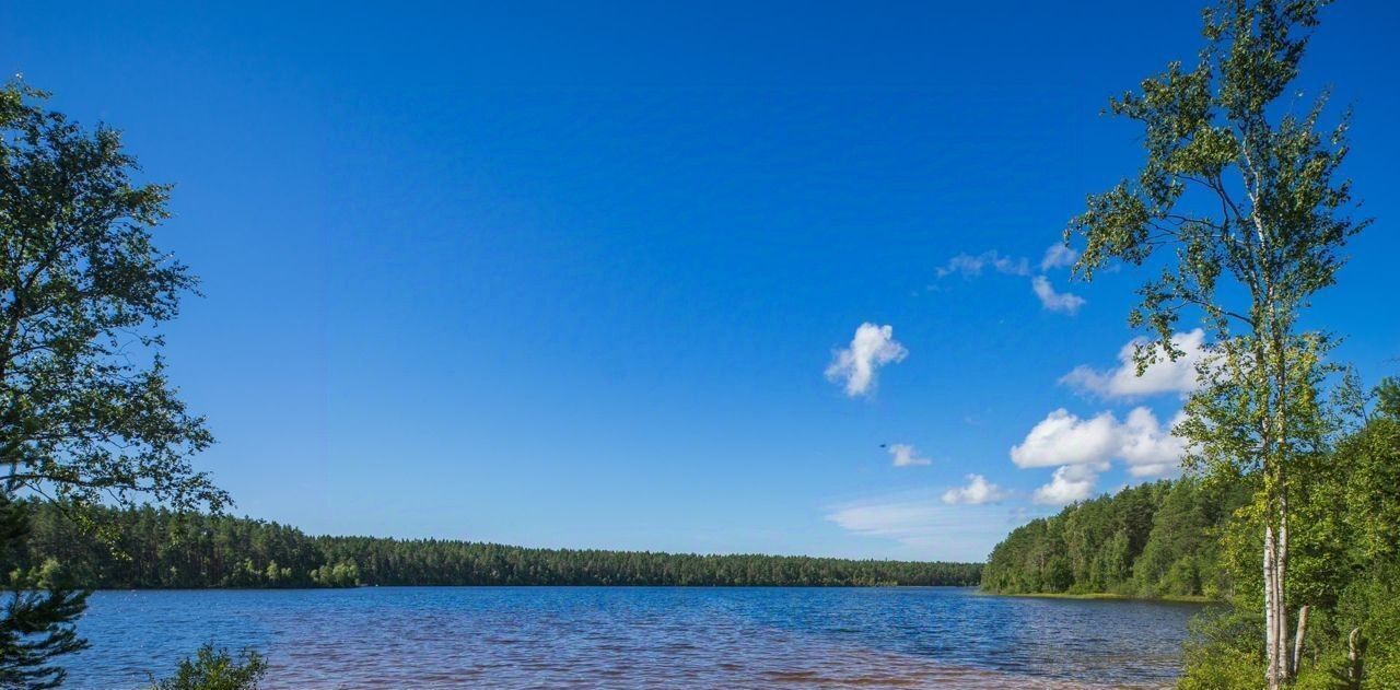 земля р-н Выборгский ст п. ж/дПриветнинское Полянское с/пос, ДНП фото 23