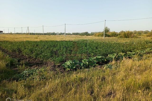 городской округ Курган, Лыжная улица фото