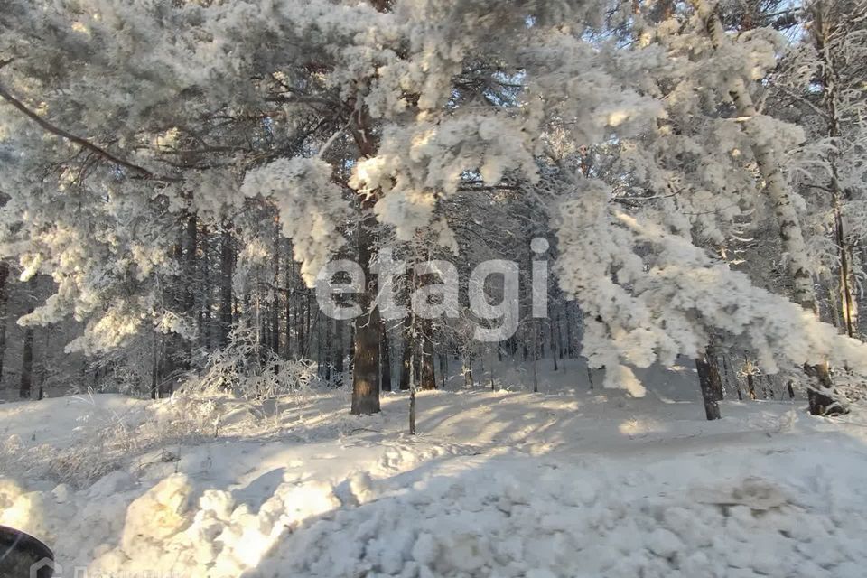 земля р-н Березовский фото 5