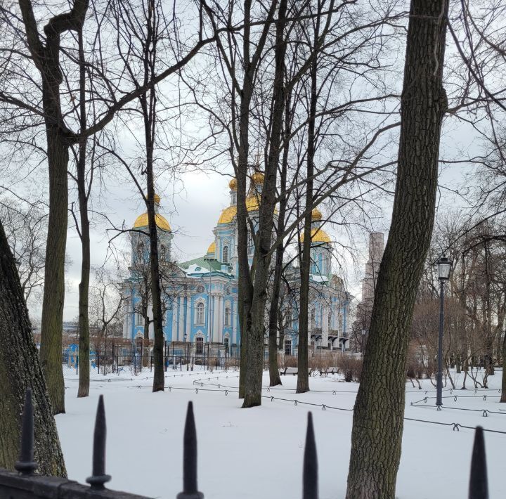 комната г Санкт-Петербург метро Спасская наб Канала Грибоедова 119/121 фото 5