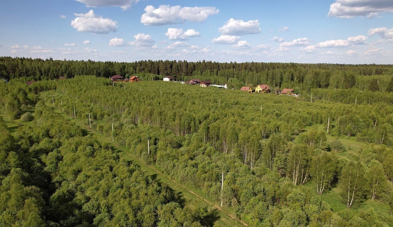 земля городской округ Можайский 93 км, коттеджный пос. Лесные Просторы, Верея, Минское шоссе фото 8