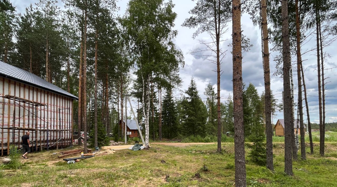 земля Всеволожское городское поселение, 8, Виктория СНТ фото 11