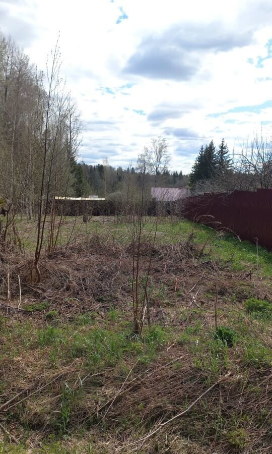 земля городской округ Волоколамский 9826 км, садоводческое некоммерческое товарищество Зоренька, Волоколамск, Новорижское шоссе фото 2