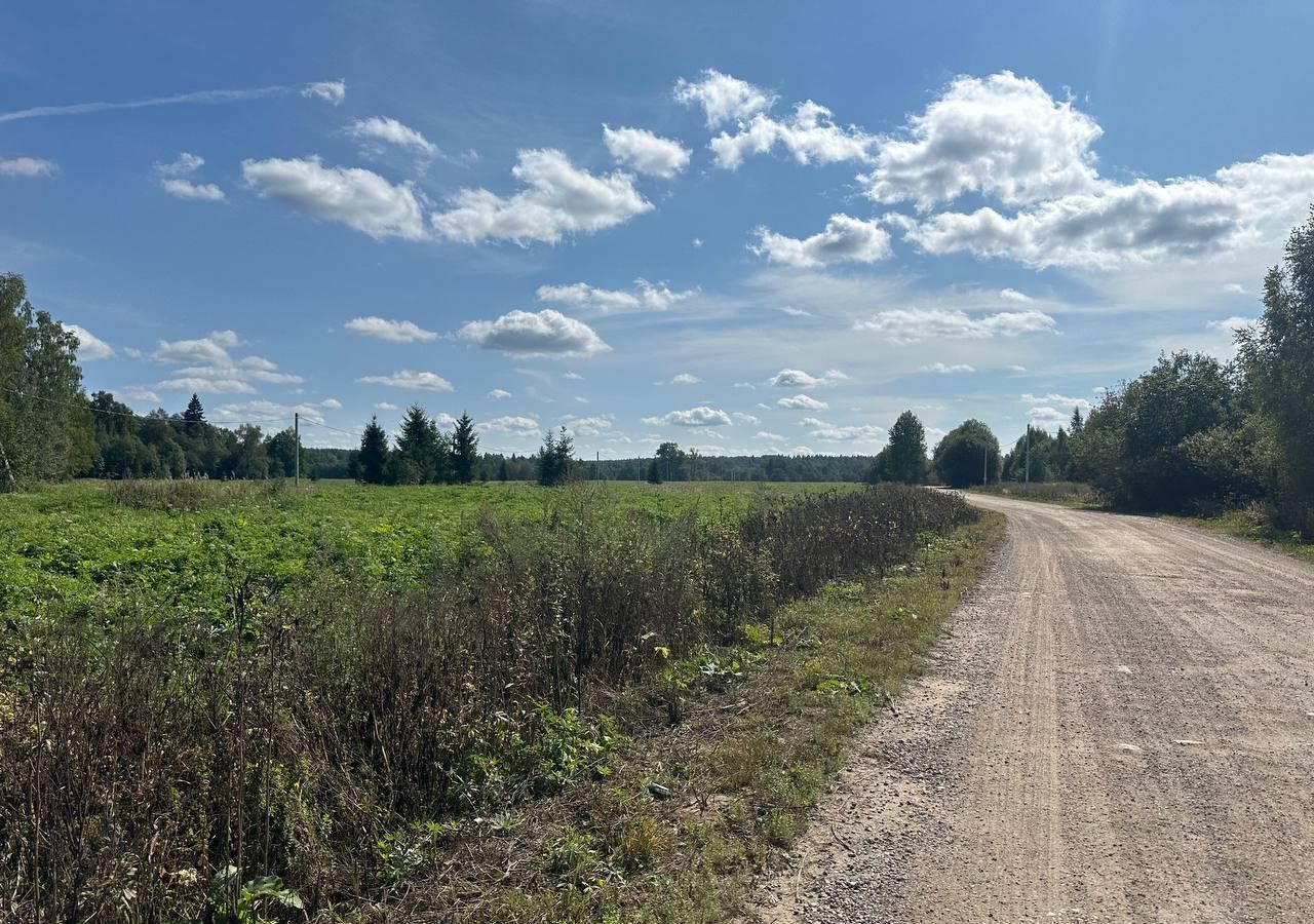 земля городской округ Клин д Акатово 58 км, Новопетровское, Ленинградское шоссе фото 8