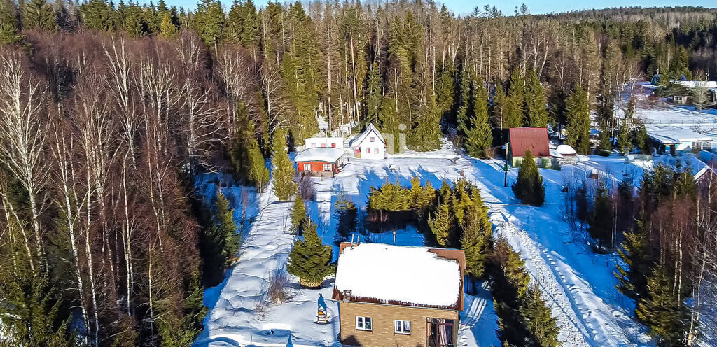 земля р-н Выборгский п Подгорное Первомайское сельское поселение фото 7