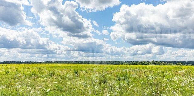 Никольская Слобода кп, Аникеевка фото