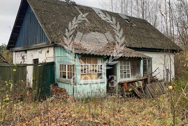 сельское поселение Буда, железнодорожная станция Палики фото