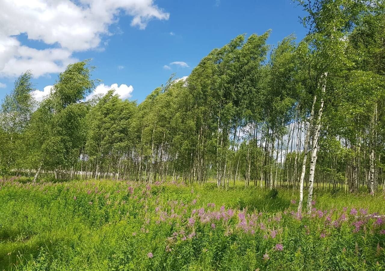 земля городской округ Дмитровский г Яхрома 41 км, коттеджный пос. Капорки, Дмитровское шоссе фото 26