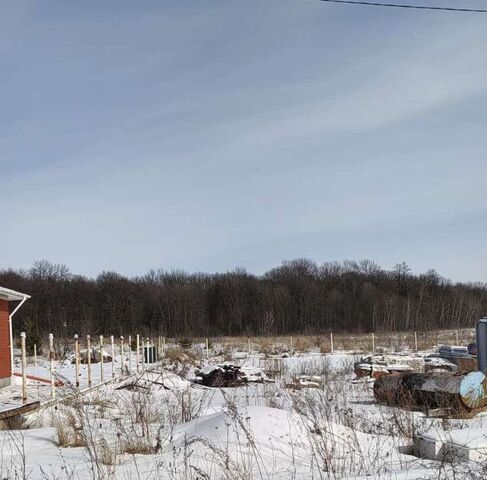 Пушкарские дачи фото