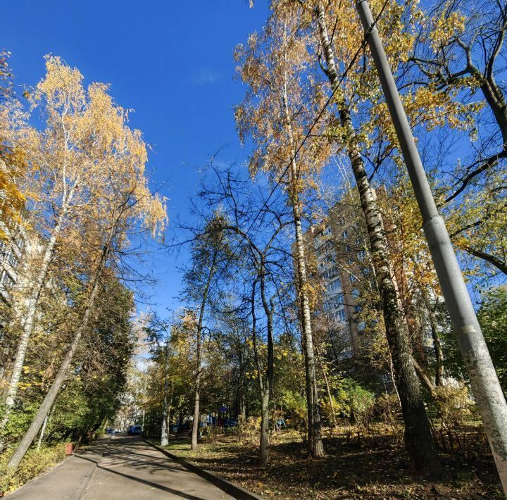 квартира г Москва метро Коломенская пр-кт Андропова 17к/1 фото 2