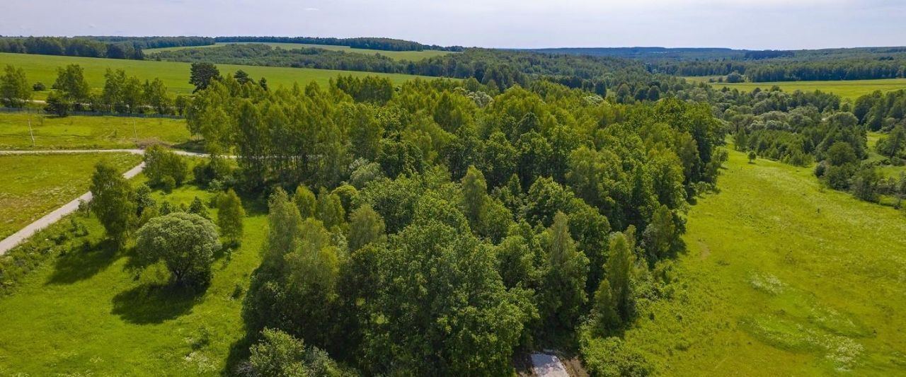 земля р-н Заокский д Хрипковские Выселки Страховское муниципальное образование фото 8