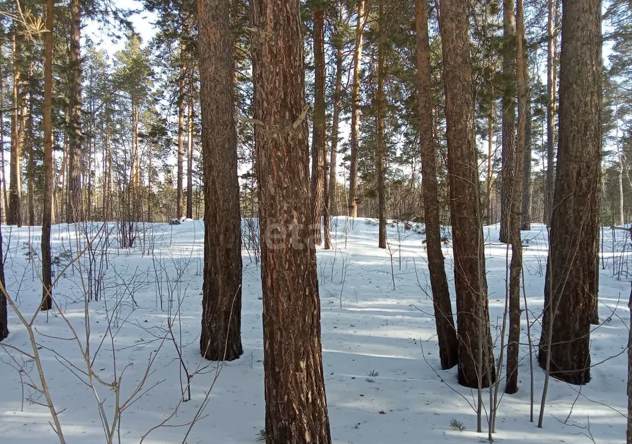 земля р-н Каслинский г Касли ул Ленина Каслинское городское поселение фото 2