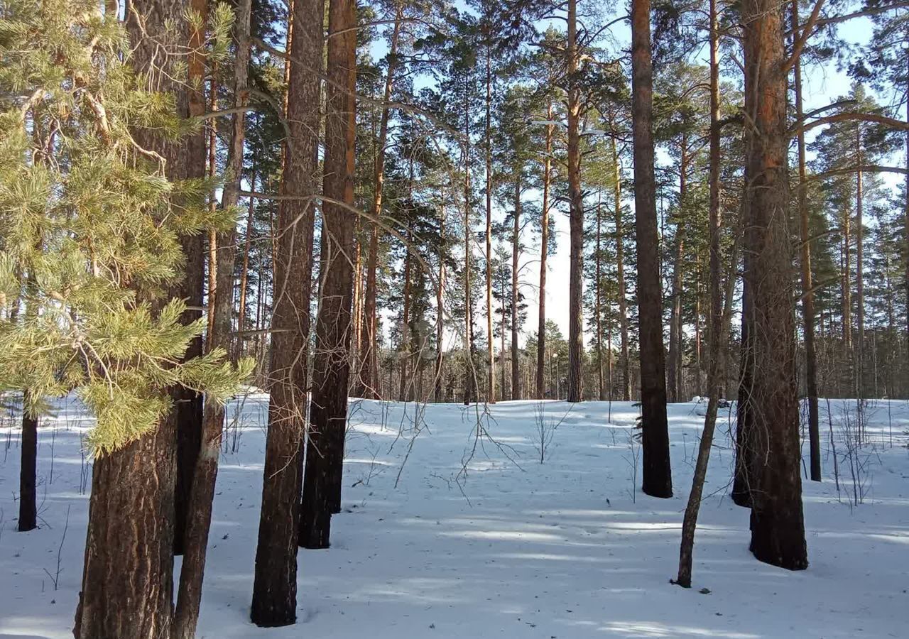 земля р-н Каслинский г Касли ул Ленина Каслинское городское поселение фото 1